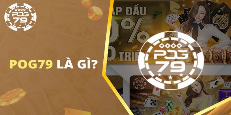 Vài nét cơ bản về POG79