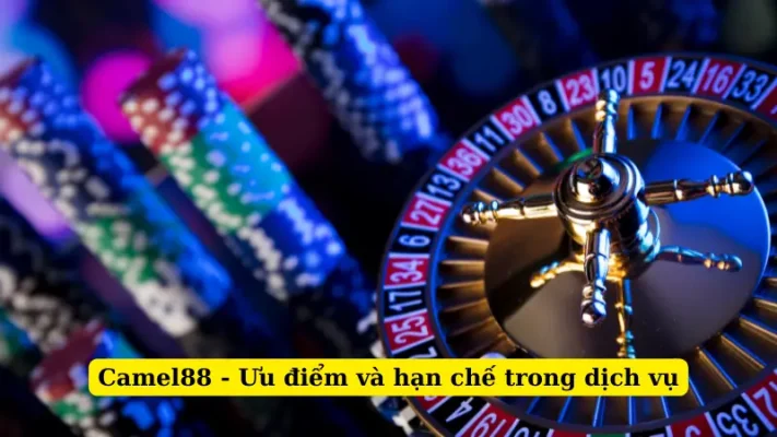 Camel88 - Ưu điểm và hạn chế trong dịch vụ